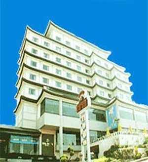 伊陆阿酒店 3*