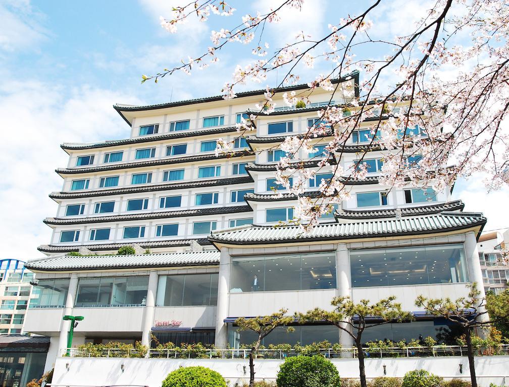 酒店 伊陆阿酒店 3*
